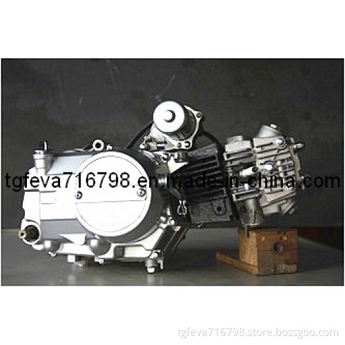 110CC Motorcycle Engine (1P52FMH)